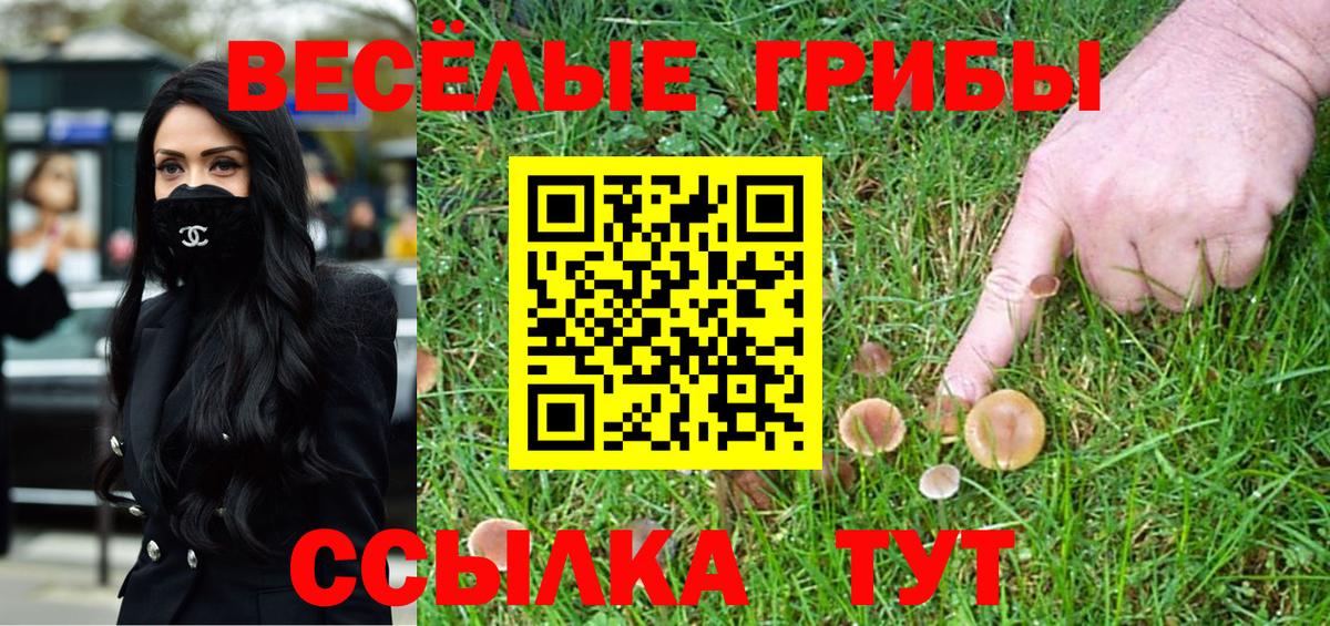 Галлюциногенные грибы Psilocybine cubensis  Вход с VPN  Хасавюрт 
