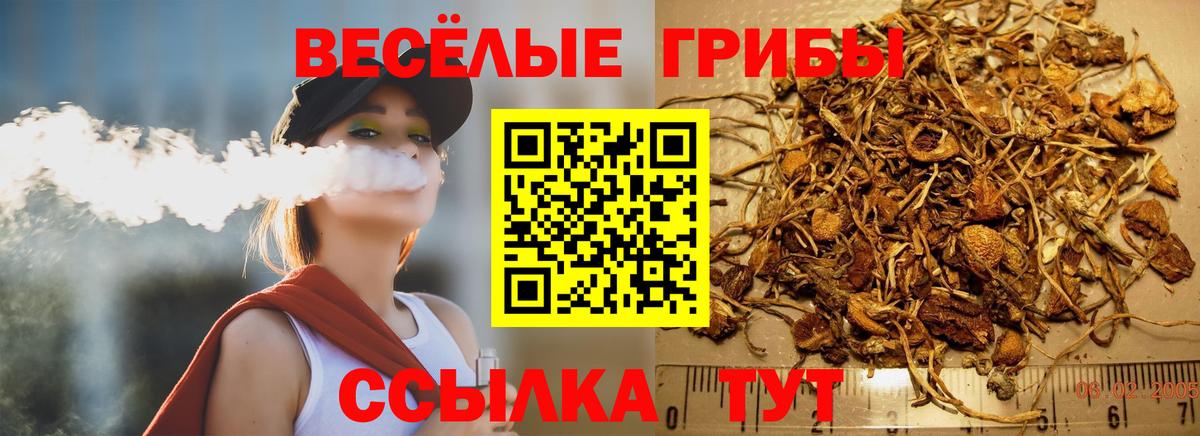 Псилоцибиновые грибы Magic Shrooms Хасавюрт
